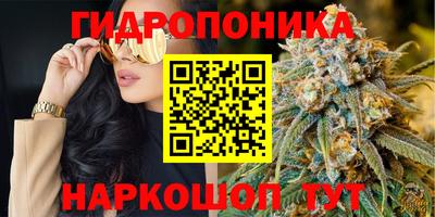 apvp Конаково