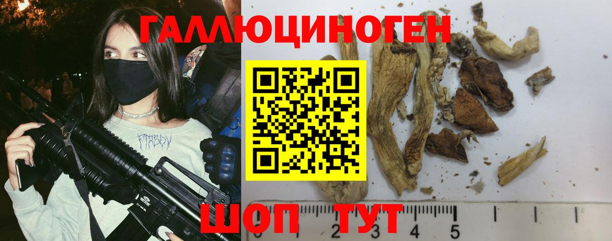 Кстово  Галлюциногенные грибы Psilocybe  Вход с VPN 